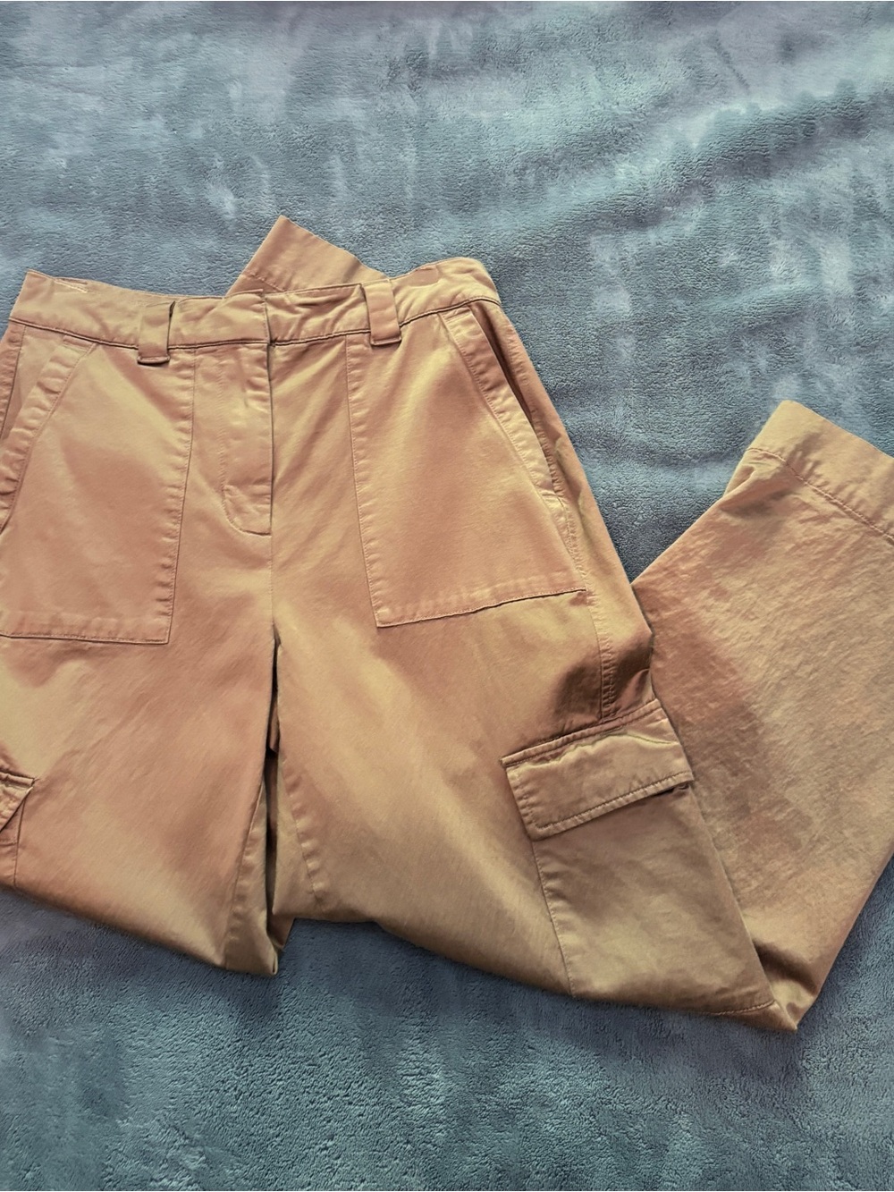 Cargo Dress Pants in Metallic Plum
